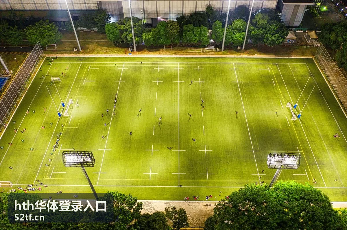 hth华体登录入口安全访问说明示意图