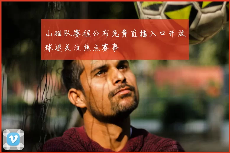 山猫队赛程公布免费直播入口开放球迷关注焦点赛事