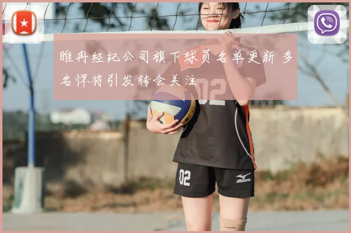 睢冉经纪公司旗下球员名单更新 多名悍将引发转会关注