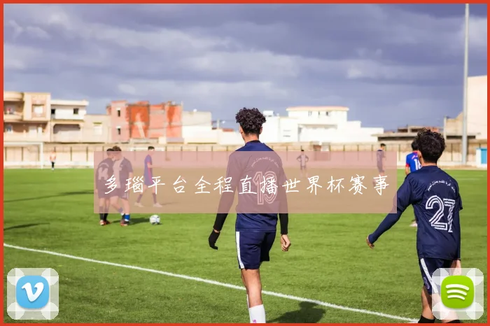 多瑙平台全程直播世界杯赛事