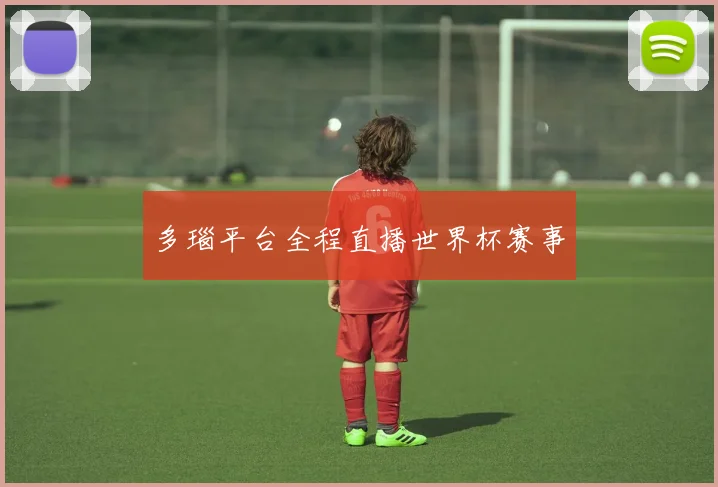 多瑙平台全程直播世界杯赛事