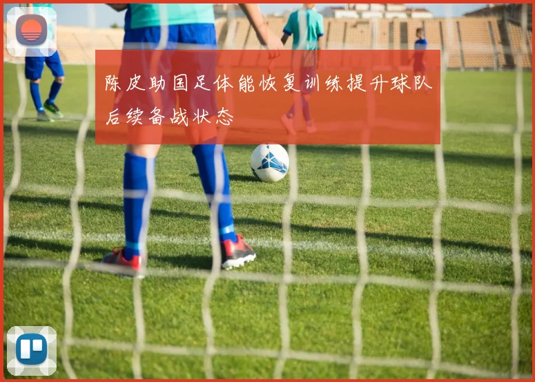 陈皮助国足体能恢复训练提升球队后续备战状态